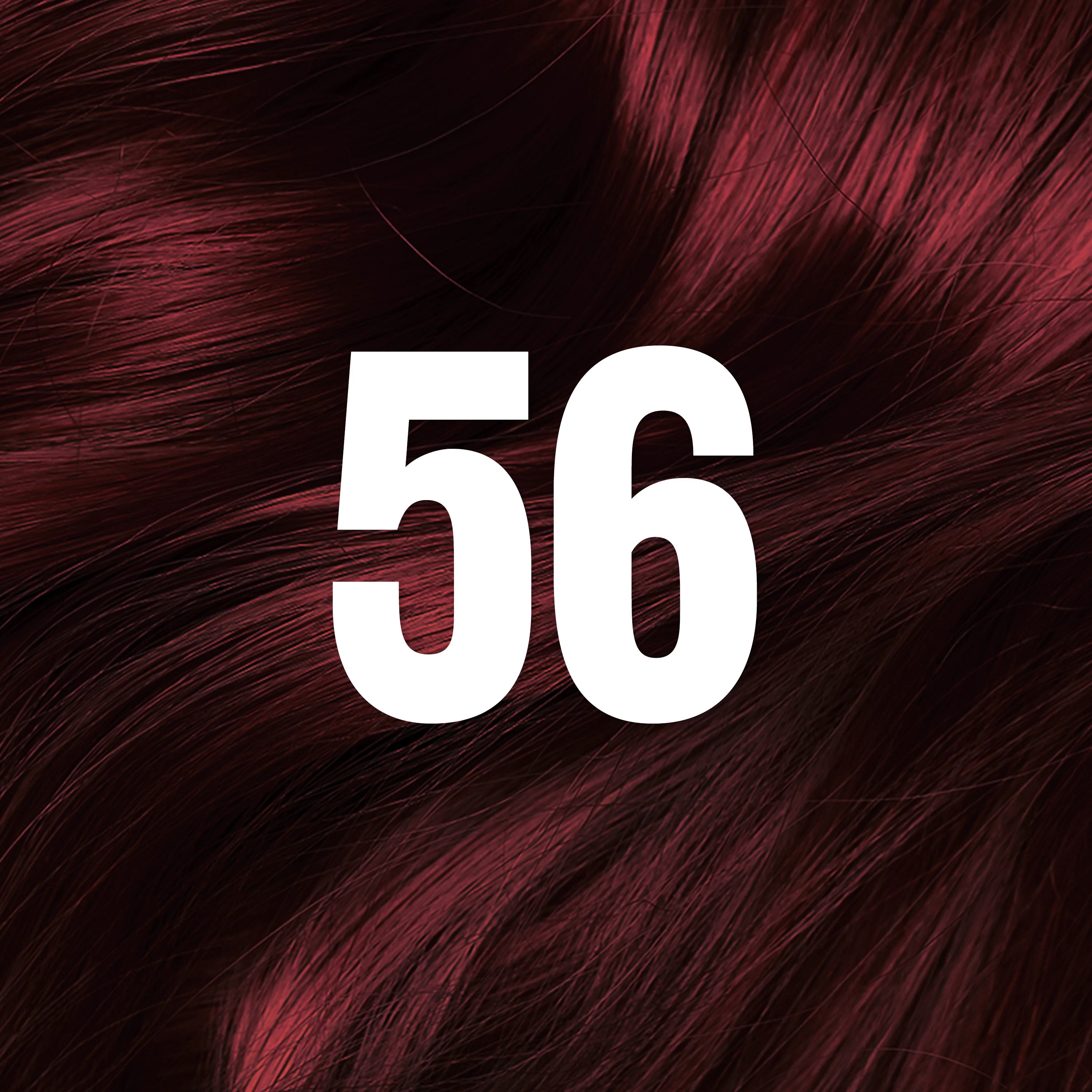 ColorSilk™ with Bond Repair Complex Permanent Hair Dye - Image 192